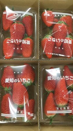 月曜特売♪の記事動画