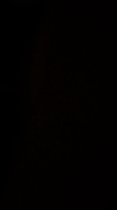 休日の過ごし方の記事動画