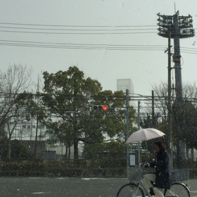 雪？！の画像