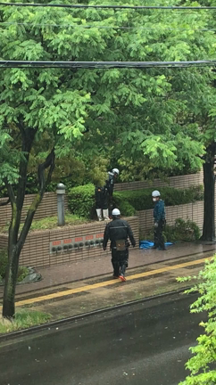 ツツジの伐採の記事動画