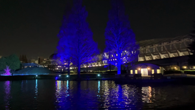 七北田公園のライトアップの記事動画