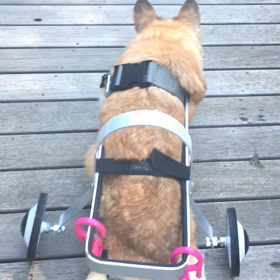 アレンジしてみる？の画像