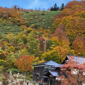 検査の結果と癒しの画像