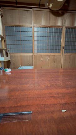 あけましておめでとうございますの記事動画