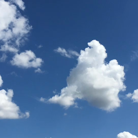 星野源 オールナイトニッポン ジングル募集へ投稿の画像