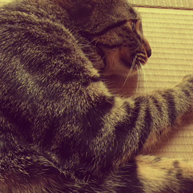 自作曲 「そらふ」音源の画像