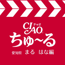 9.12 まる　はな　ちゅーるメーカーの画像