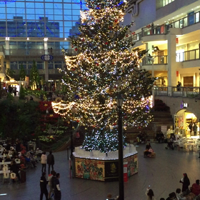 札幌ファクトリーのクリスマスツリーの画像