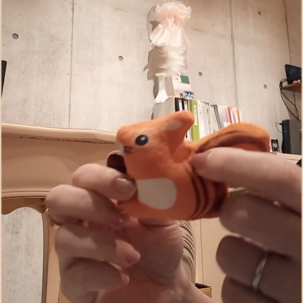 ぶるぶる振動するおもちゃの記事動画