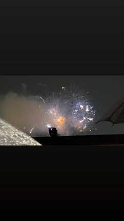 3年ぶりの神宮外苑花火大会！の記事動画