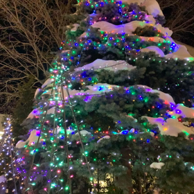 Merry Christmasの画像