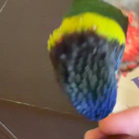 お顔痛いの画像