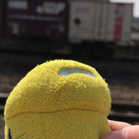 貨物を眺めてたきゅの画像