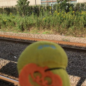 久々の小田栄駅からの画像