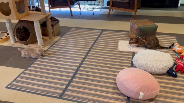 壱太くん４ヶ月になりました♪の記事動画