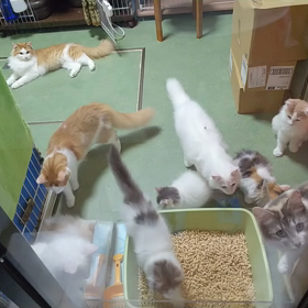 たまには？！男の子部屋からの画像