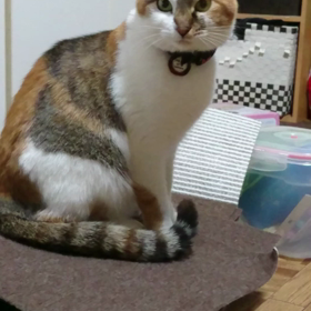 偶然。の画像