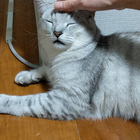 至福の時間の画像