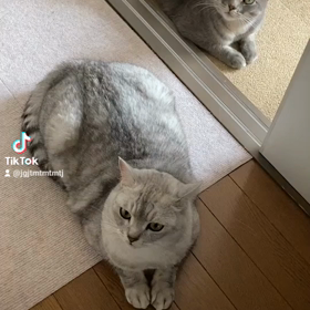 お盆は二人も仲良しの画像