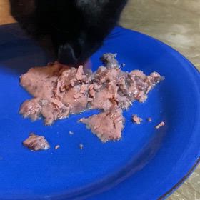 奇跡、ふたたびの画像