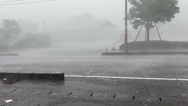 ヒョウが飯能地方を襲うの記事動画