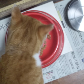 ☆今年も少しずつ☆の画像