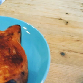 [主婦のVlog#4]ねこねこ食パン/トマトの植え付け/餃子作りの画像