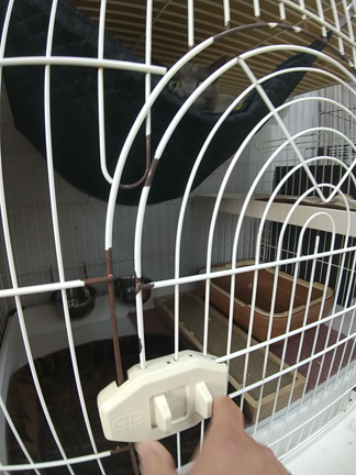 注意してください‼️の記事動画