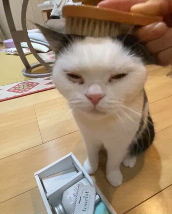 小顔になりたい人へ。たるみも引き上げる“頭皮マッサージャー”が本当に良かった話。の記事動画
