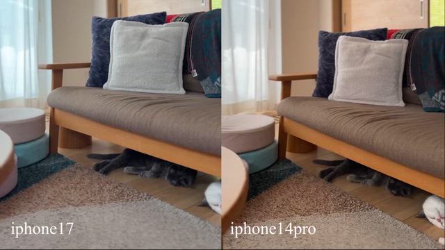 40代のスマホの選び方に一石を投じたい！の記事動画