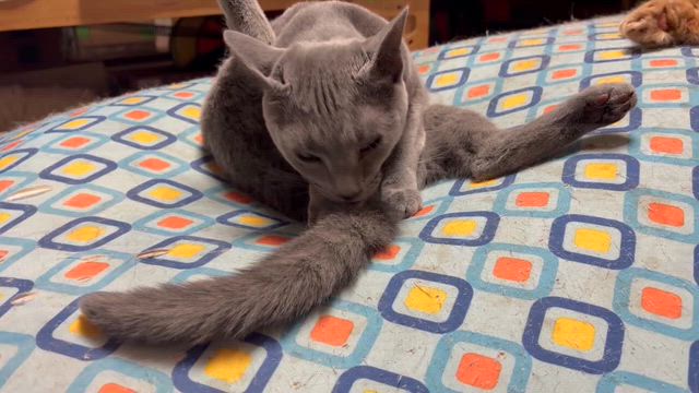 みりのお手入れの記事動画