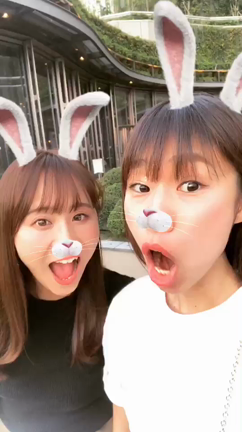 ついに、、！の記事動画