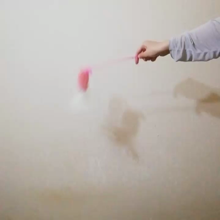 若さって激しさ(笑)の記事動画