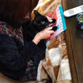 黒猫ピアノ教室みゅ o(．．＝) (＝・・＝) (＝ ¨ )o みゅ♪ねこな時間の画像