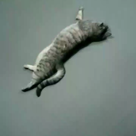 【ゴロゴロ】ねこ戦記R【してやんよ】の画像