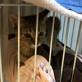 諦めない‼️のサムネイル画像
