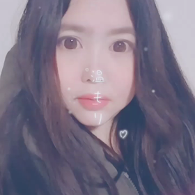 動画の画像
