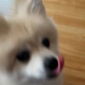 メロンとめまいの画像