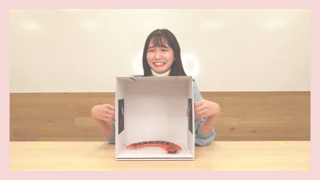 箱の中身はなんじゃろなの記事動画