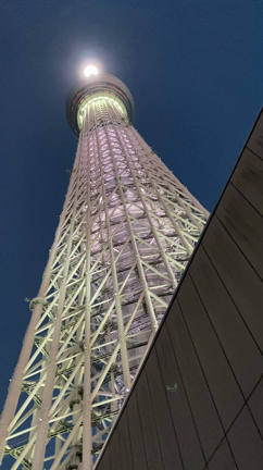 　断捨離は天にお任せの記事動画