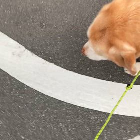 本日１６歳４か月の画像