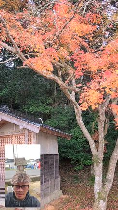 神魂神社への記事動画