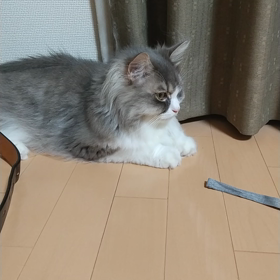 風にあたるの画像