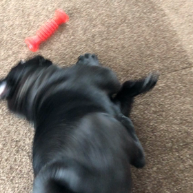 肩の具合&今回の治療費についての画像