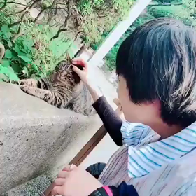 ⑦の画像