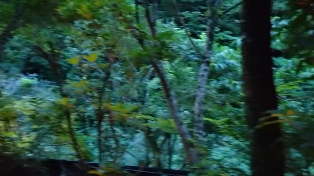 赤毛のアンの記事動画