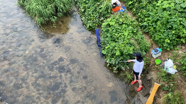 今年最後の小鮎釣りの記事動画