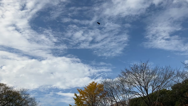 ブルーインパルスと名古屋城の記事動画