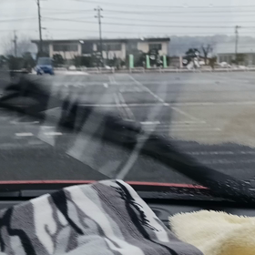 動画の画像