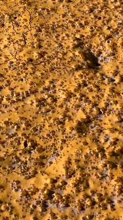 冬を独占満喫‼️の記事動画